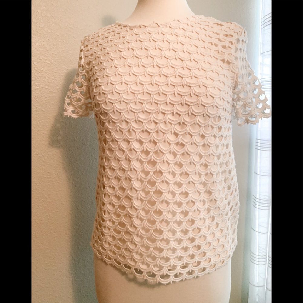 Ann Taylor cream scallop lined top